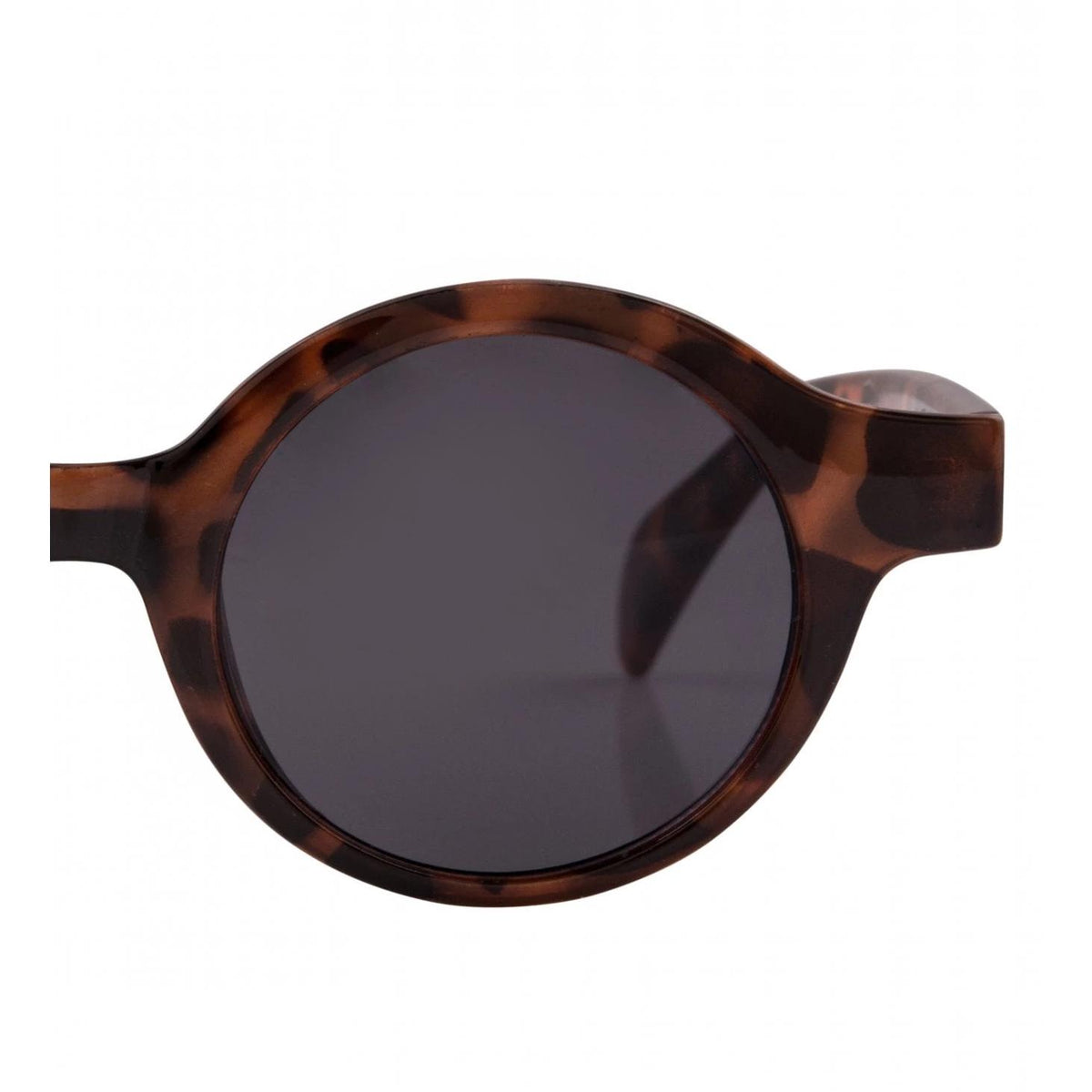 Collectif Rochel Sunglasses-Vendemia